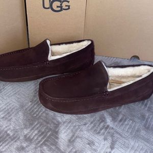 UGG Ascot